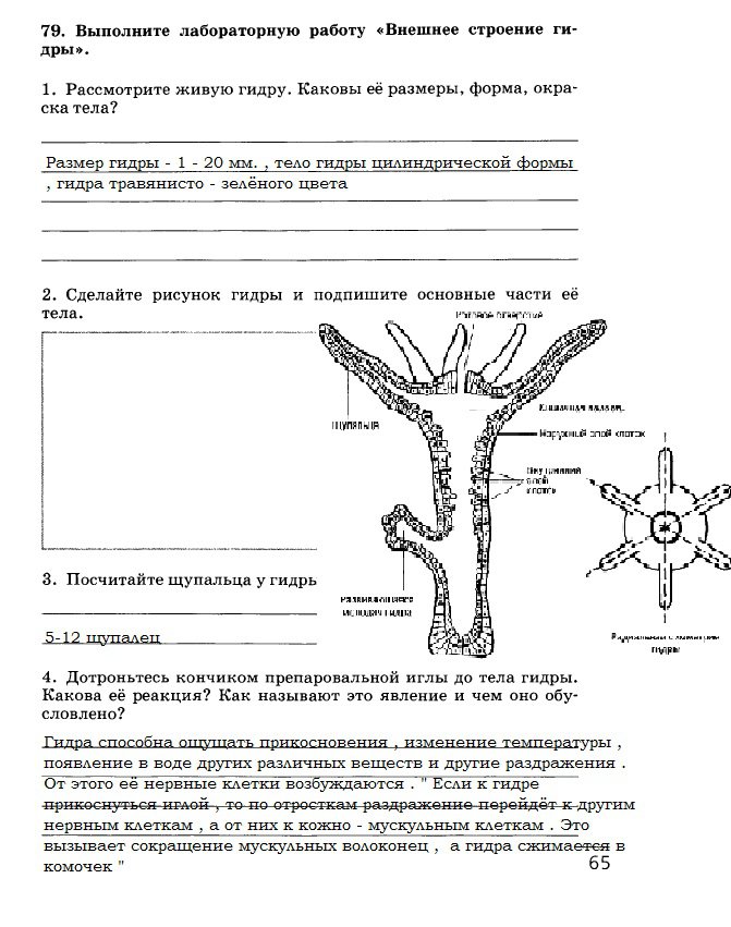 Кракен найти сайт