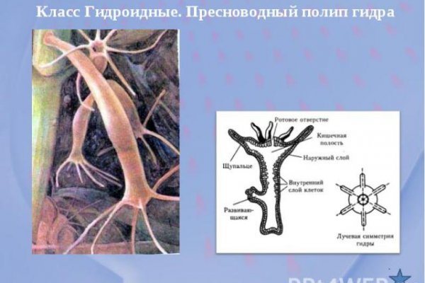 Кракен маркетплейс ссылка на сайт