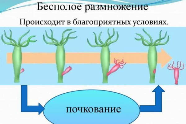 Кракен даркнет плейс