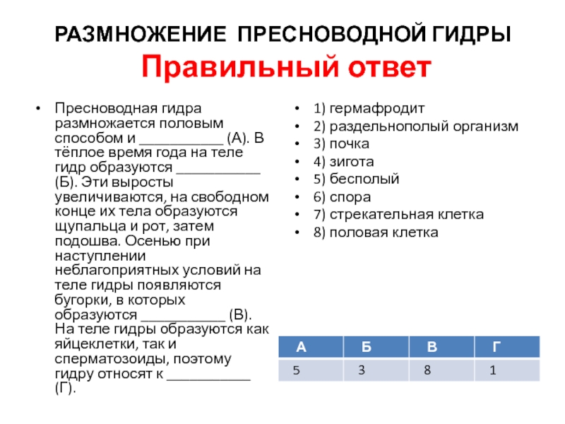 Кракен адрес сайта